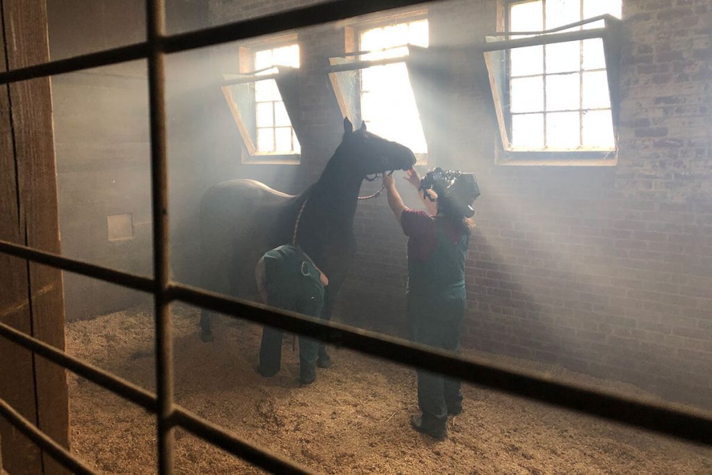 Camera operator filming horse in a stable